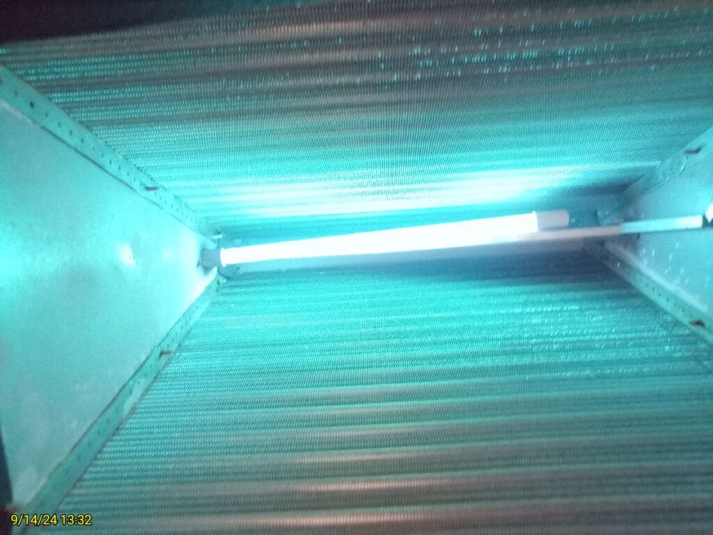 UV Light