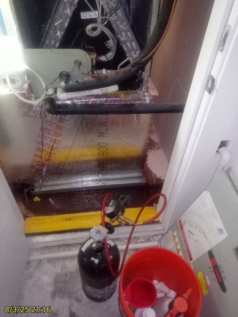 Drainline Flush