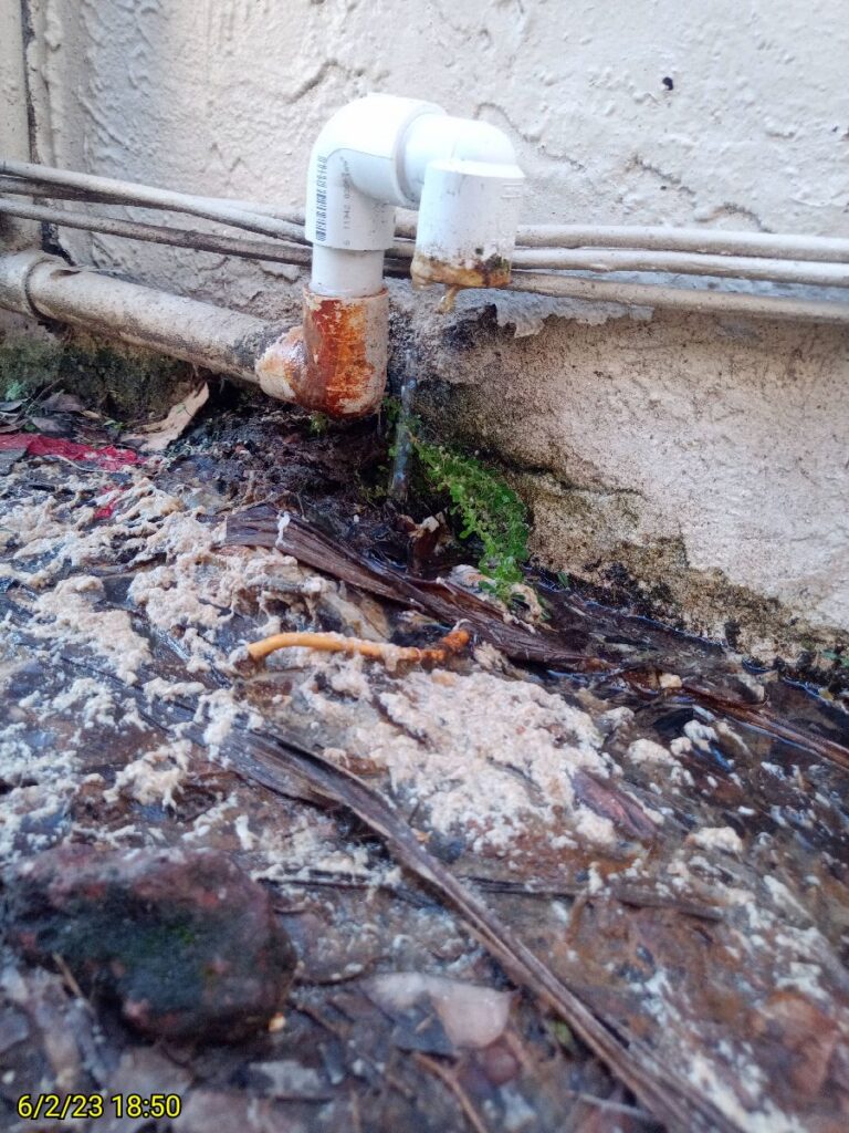 Drainline Flush After
