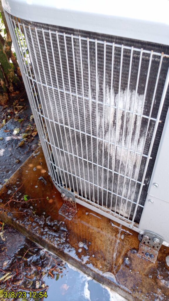 Condenser Coil Cleaning