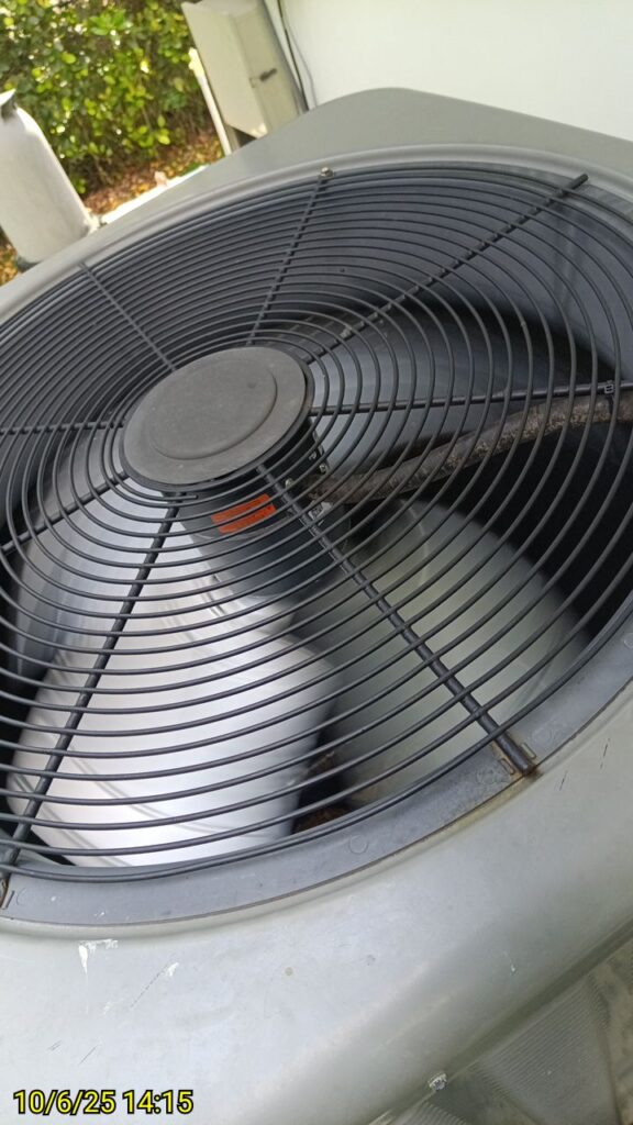 Condenser fan motor/blade