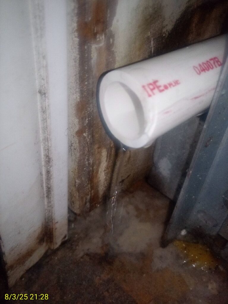 Drainline Flush