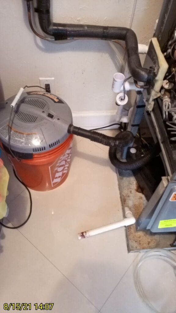 Drainline Flush